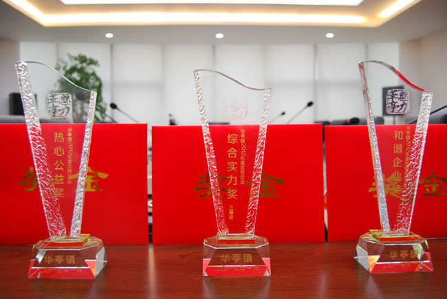 公司榮獲華亭鎮(zhèn)2012年度優(yōu)秀企業(yè)三項大獎獎杯