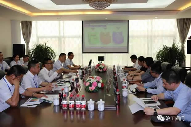 嘉定區(qū)副區(qū)長(zhǎng)陸祖芳等領(lǐng)導(dǎo)一行蒞臨我公司視察指導(dǎo)工作(圖3)