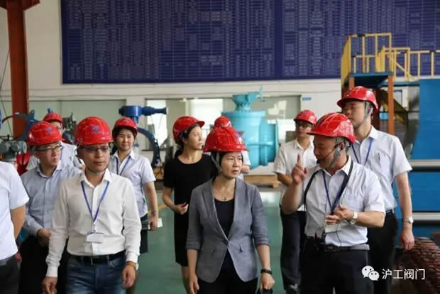 嘉定區(qū)副區(qū)長(zhǎng)陸祖芳等領(lǐng)導(dǎo)一行蒞臨我公司視察指導(dǎo)工作(圖6)