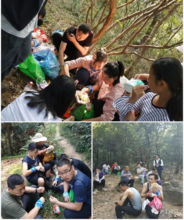 上海滬工閥門廠2019年秋季徒步毅行活動(圖5)